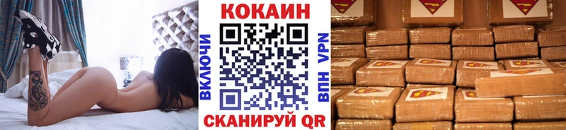 где купить наркоту Судогда blacksprut онион Cocaine Fish Scale