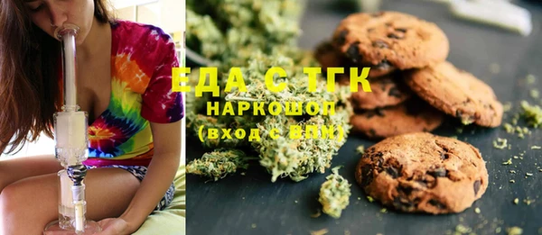 гашик Каменка
